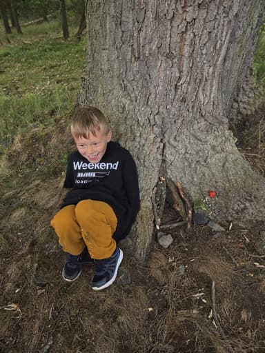 Pracovní výchova a vyrábění lesních domečků pro skřítky Image