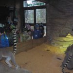 Výlet do ZOO 2016