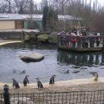 Výlet do ZOO 2016