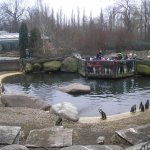 Výlet do ZOO 2016